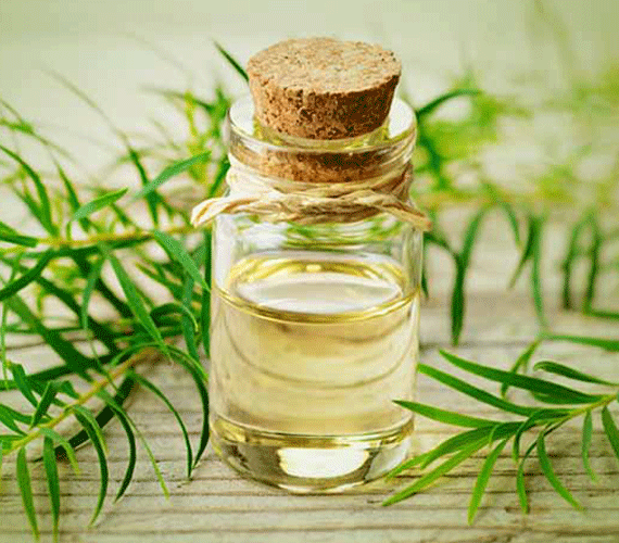 Natürliche Inhaltsstoffe