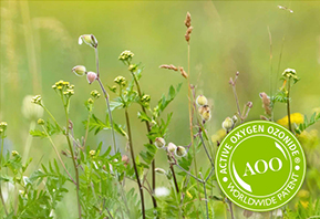 Naturkosmetik Kosmetik aus natürlichen Inhaltstoffen