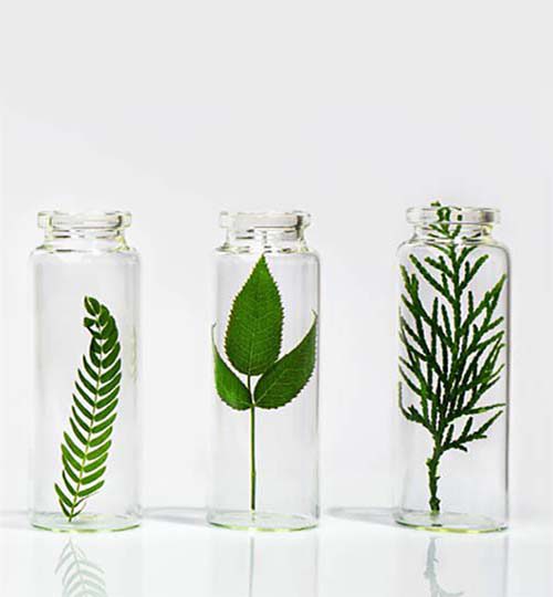 natürliche Inhaltstoffe