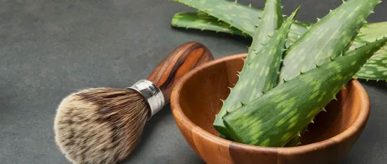 Aloe Vera – Die beruhigende Kraft nach der Rasur
