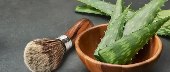 Aloe Vera – Die beruhigende Kraft nach der Rasur