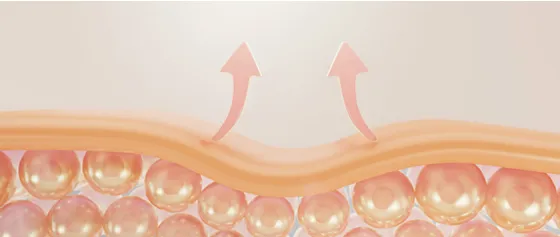 All you need to know about skin elasticity.