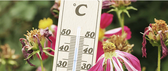 Perfekte Pflege bei Temperaturunterschieden: Tipps und Tricks für Ihre Hautpflege