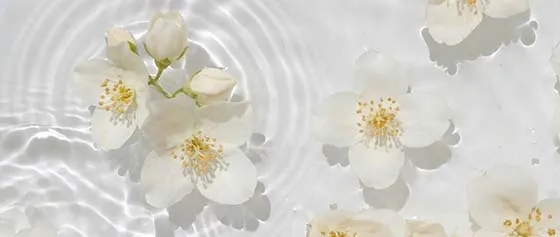 🌸 April Hautpflege-Tipps: 3 Gewohnheiten für einen strahlenden Teint ohne Müdigkeit