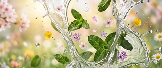 🌸 Frühlingserwachen für Ihre Haut: Sanfte Pflege nach dem Winter