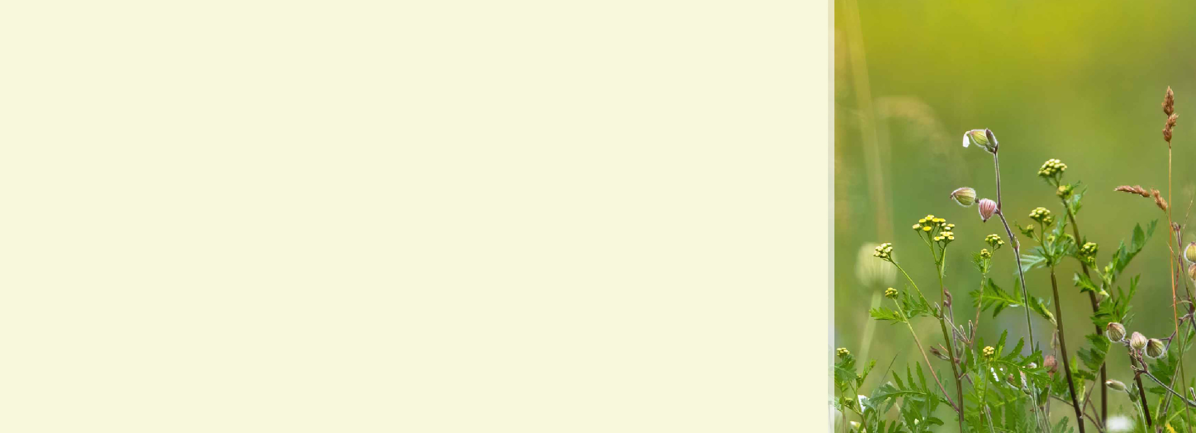 Unsere Naturkosmetik