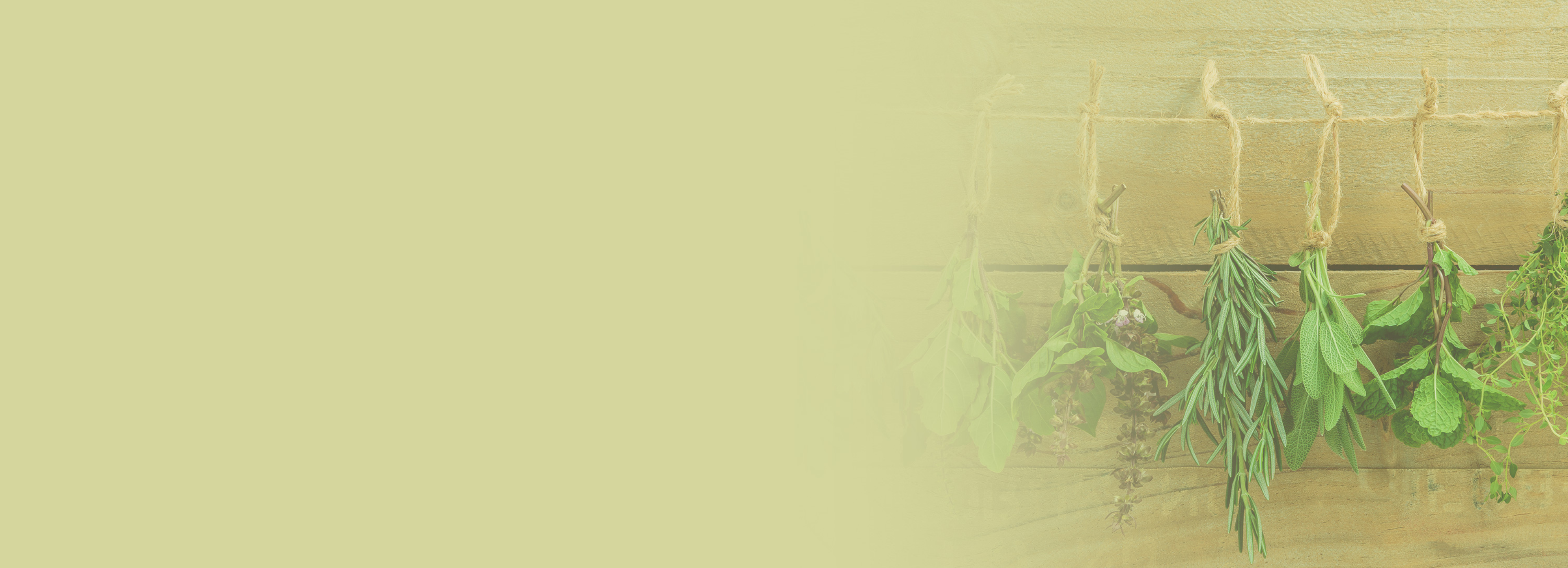 natürliche Inhaltsstoffe in unserer Naturkosmetik