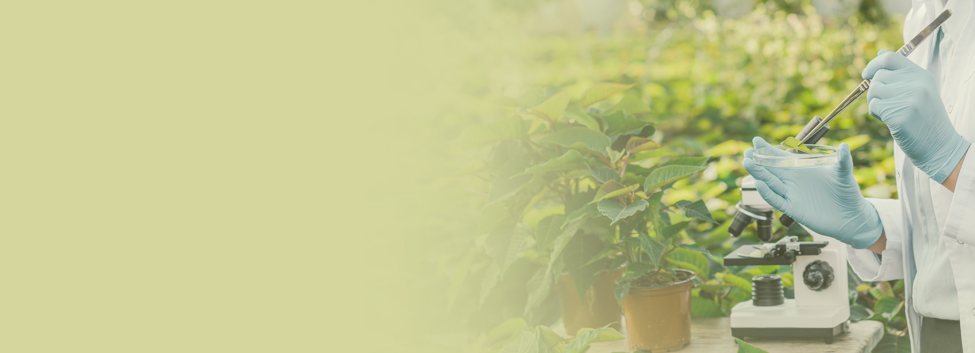 Labels und Produktmerkmale